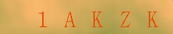 Kontrolní kód