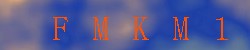 Kontrolní kód