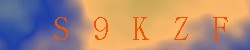 Kontrolní kód