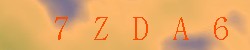 Kontrolní kód