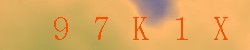 Kontrolní kód