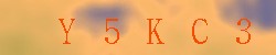 Kontrolní kód