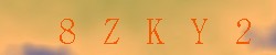 Kontrolní kód